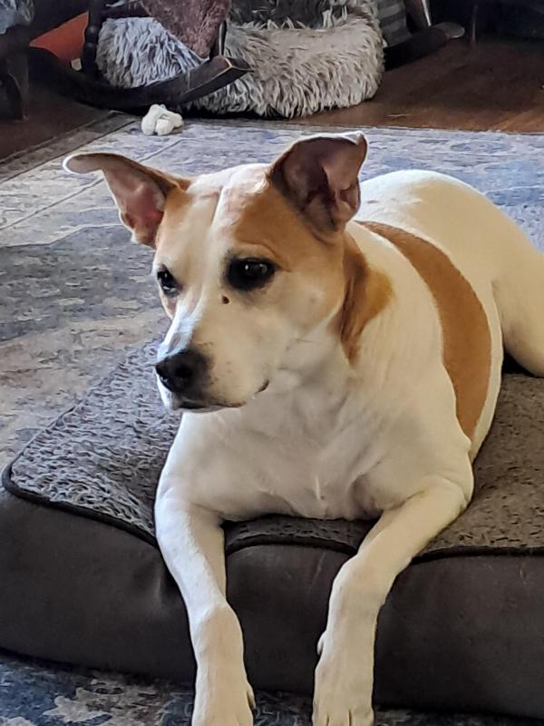 TuckersMom uploaded   28  day/s  ago