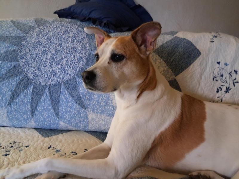 TuckersMom uploaded   17  day/s  ago