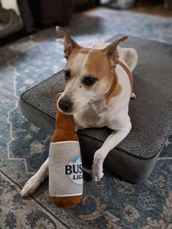 Piper of the TuckersMom family