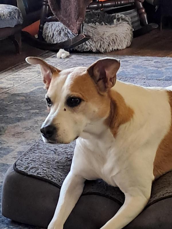 TuckersMom uploaded   28  day/s  ago