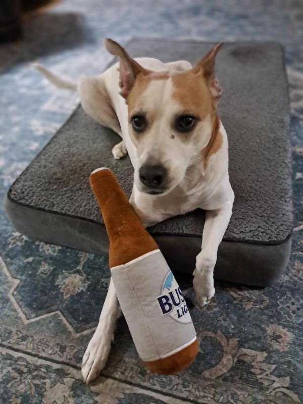 Piper of the TuckersMom family