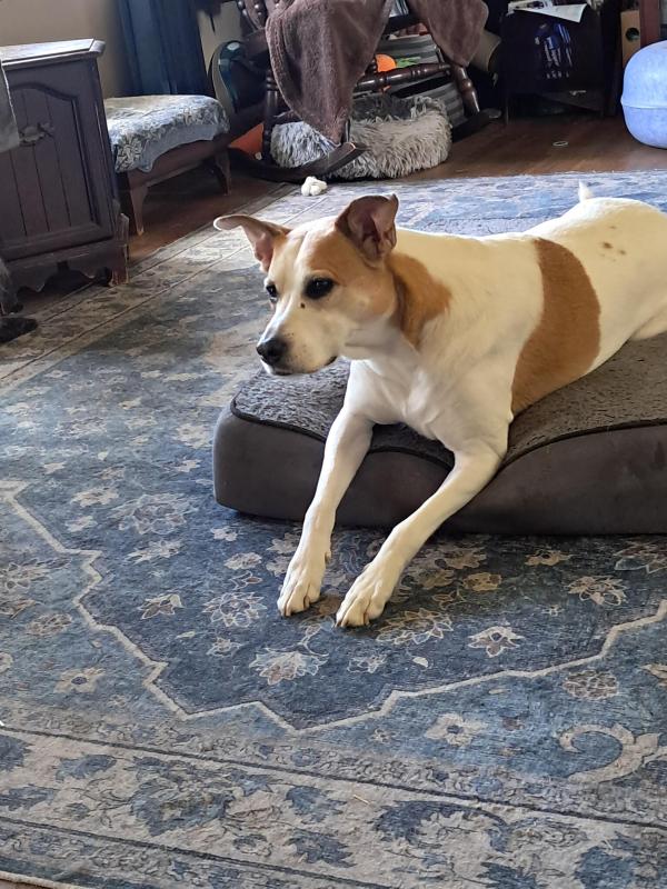 TuckersMom uploaded   28  day/s  ago