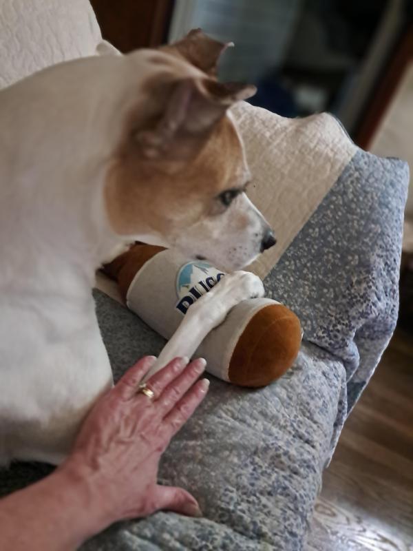 Piper of the TuckersMom family