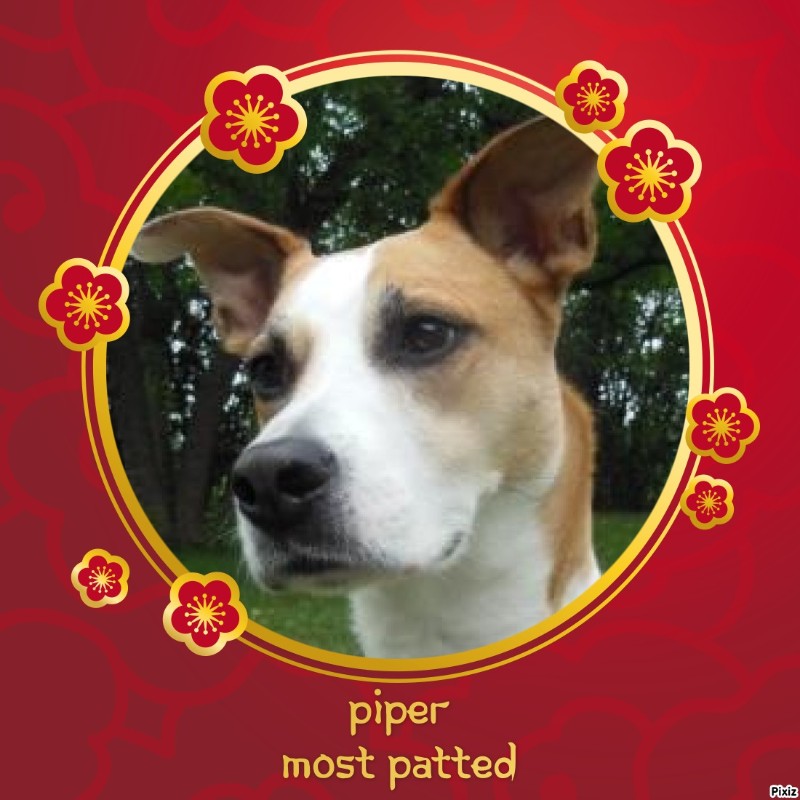 Piper of the TuckersMom family