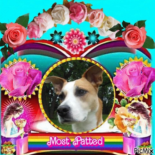 Piper of the TuckersMom family