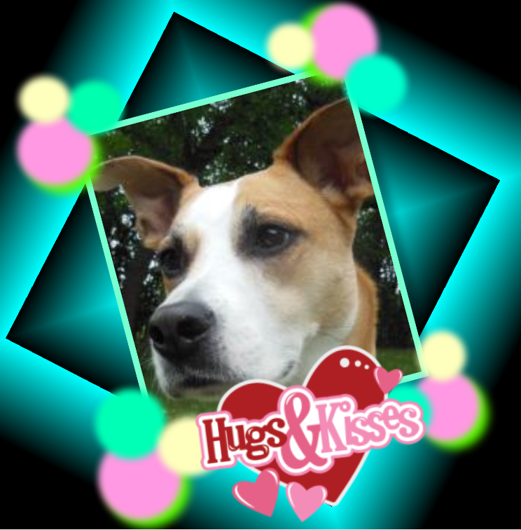 Piper of the TuckersMom family