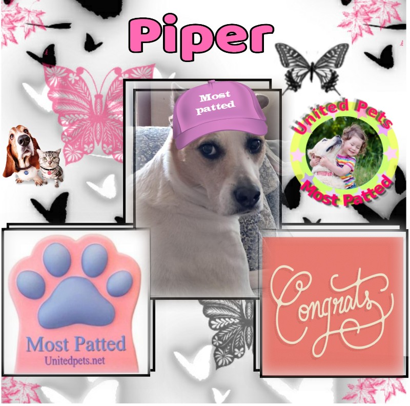Piper of the TuckersMom family