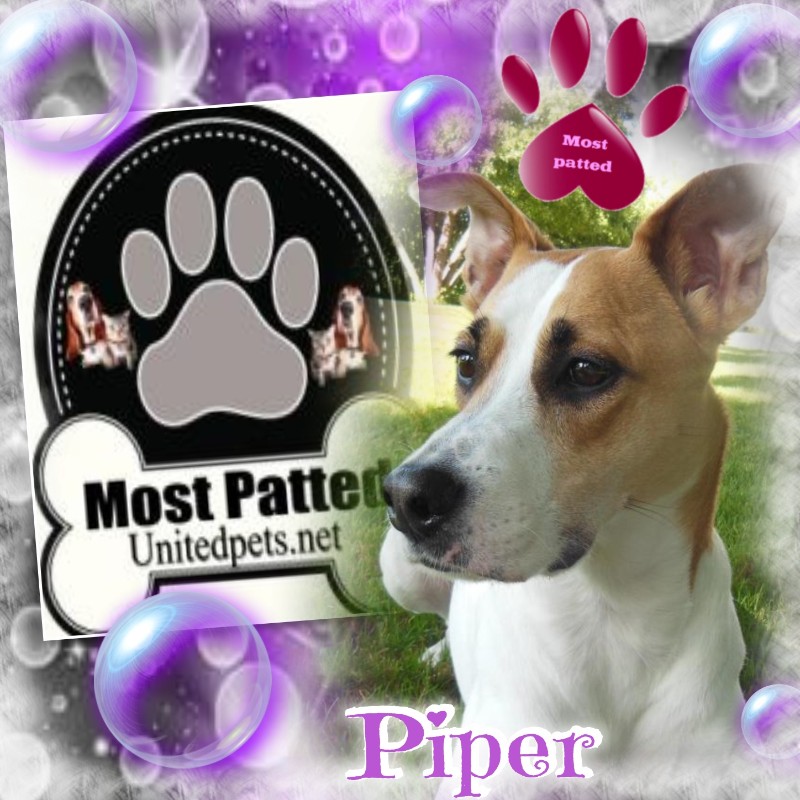 Piper of the TuckersMom family