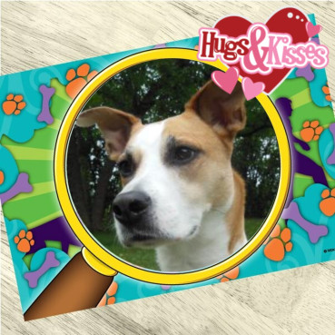 TuckersMom uploaded   27  day/s  ago