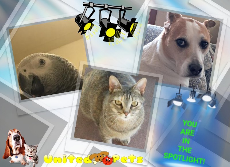 Piper of the TuckersMom family