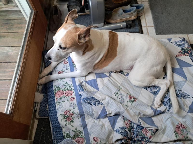 TuckersMom uploaded   1  day/s  ago