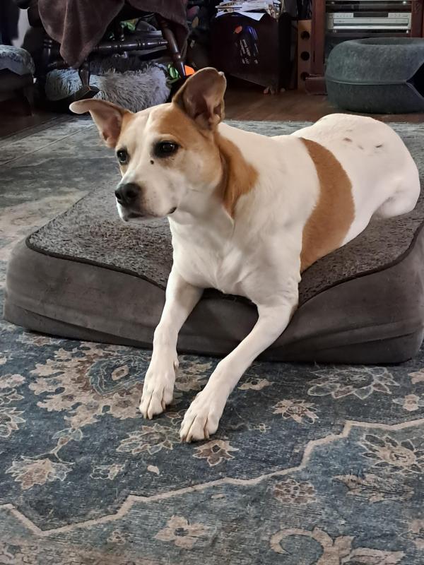 Piper of the TuckersMom family