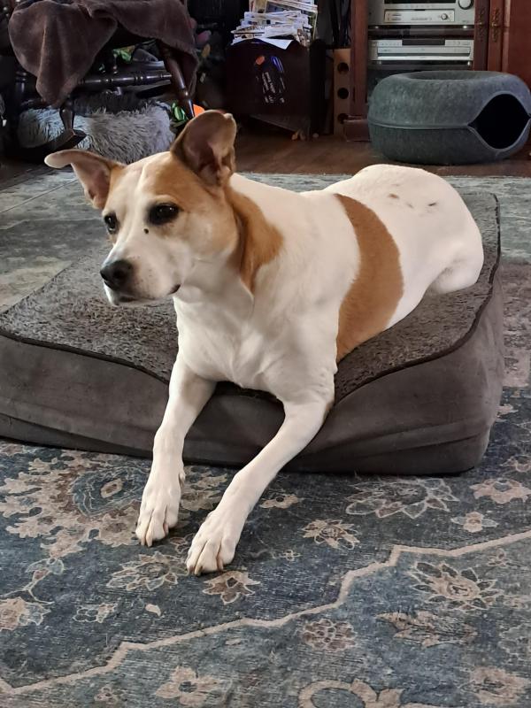 Piper of the TuckersMom family