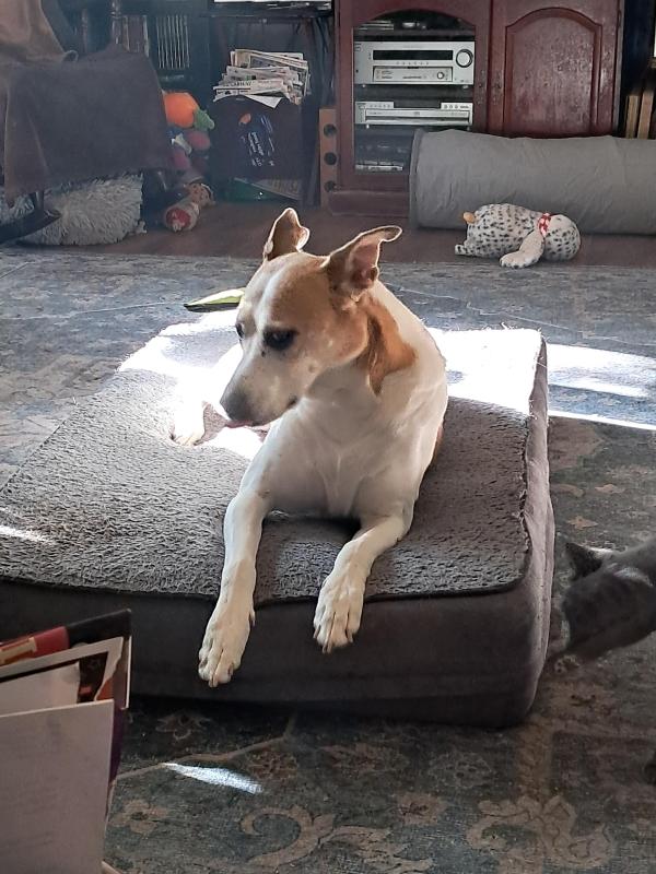 Piper of the TuckersMom family
