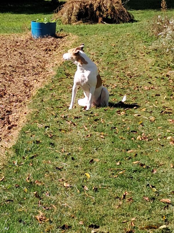 Piper of the TuckersMom family