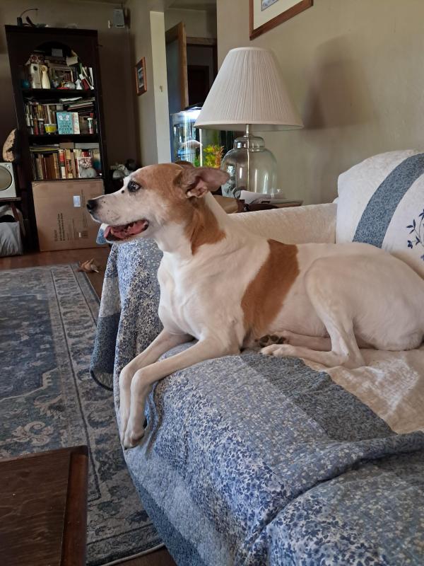 Piper of the TuckersMom family