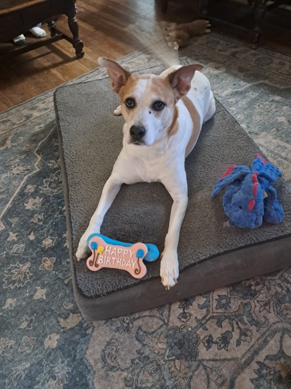 Piper of the TuckersMom family