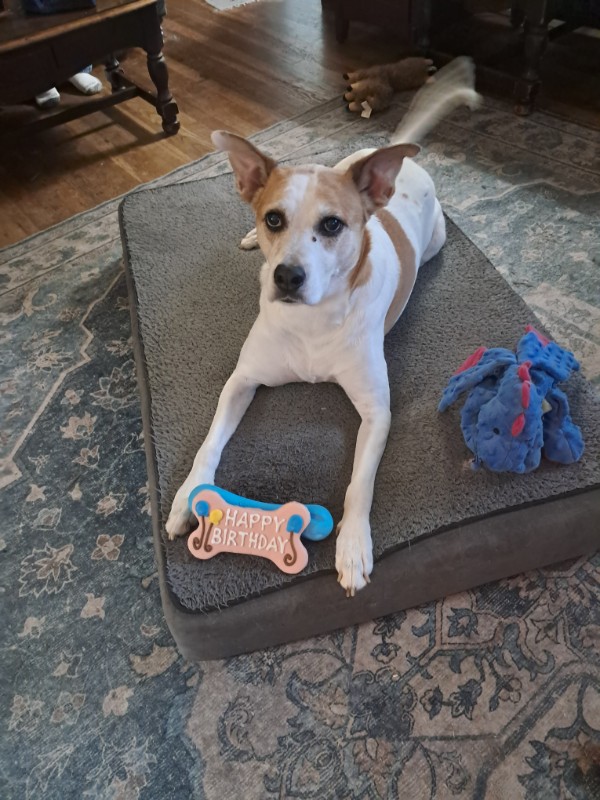 Piper of the TuckersMom family