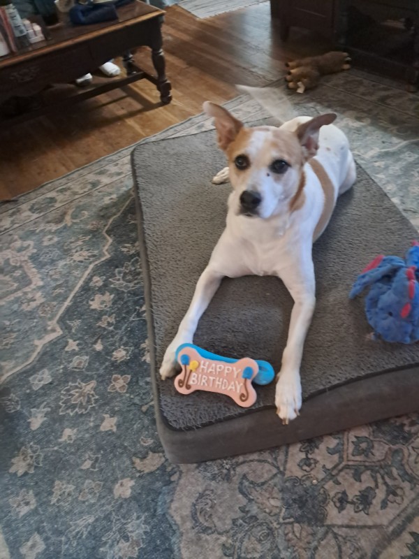 Piper of the TuckersMom family