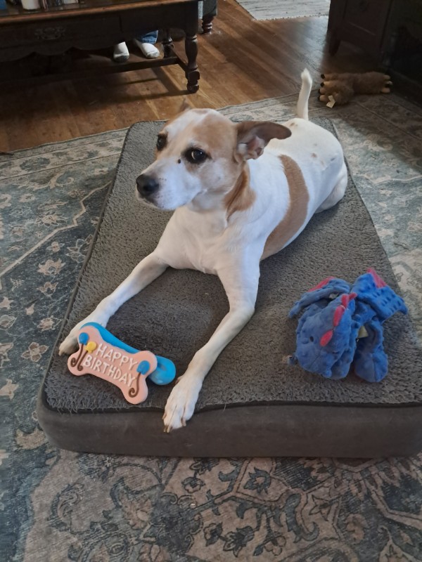 Piper of the TuckersMom family