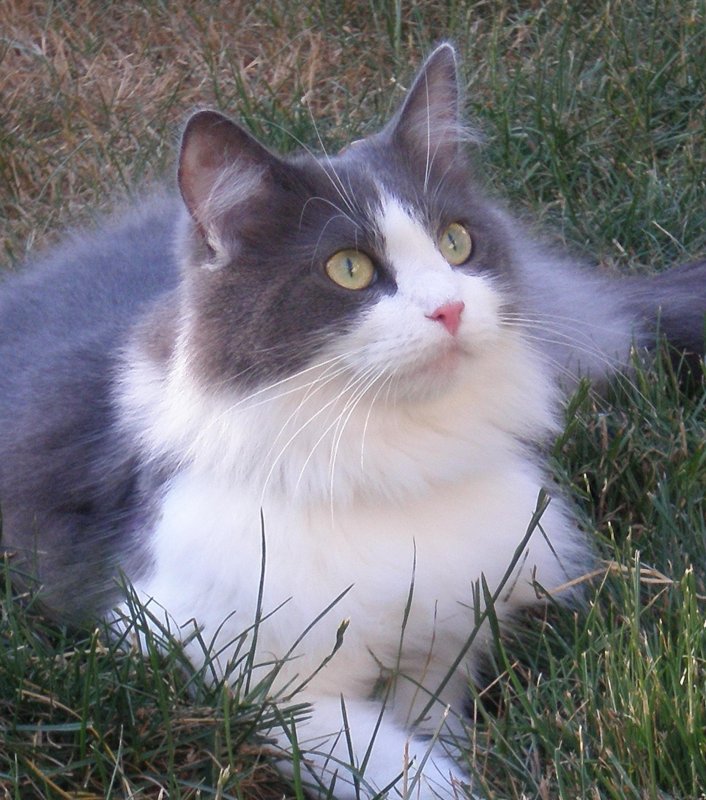 TuckersMom uploaded   4 year/s ago