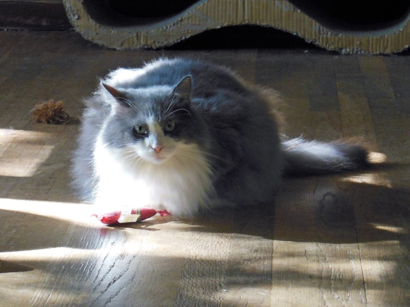 TuckersMom uploaded   4 year/s ago