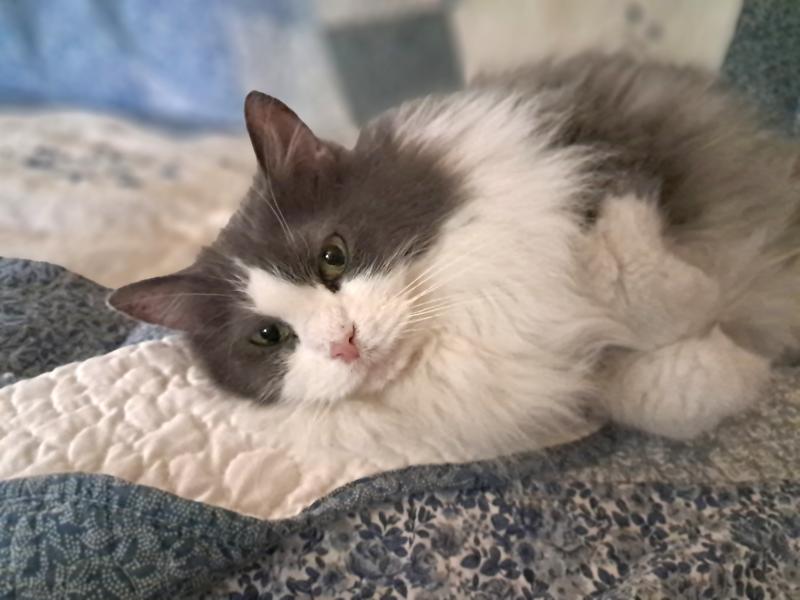 TuckersMom uploaded   205  day/s  ago