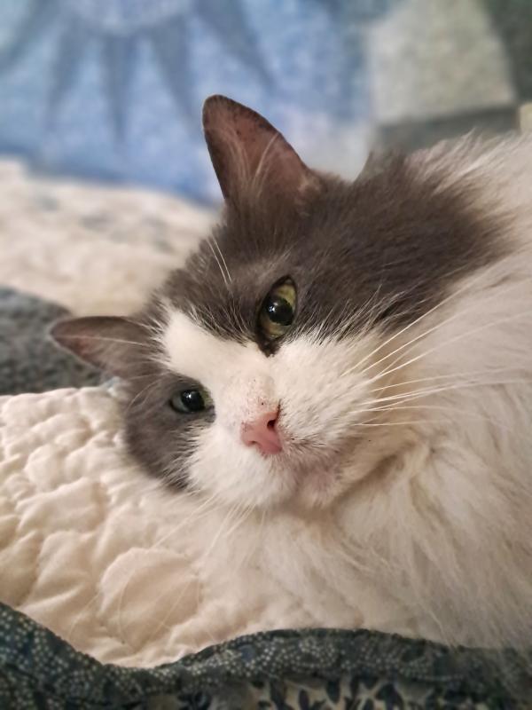 TuckersMom uploaded   205  day/s  ago