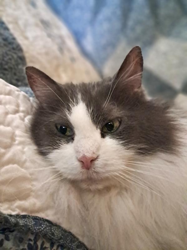 TuckersMom uploaded   205  day/s  ago