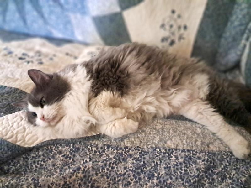 TuckersMom uploaded   205  day/s  ago