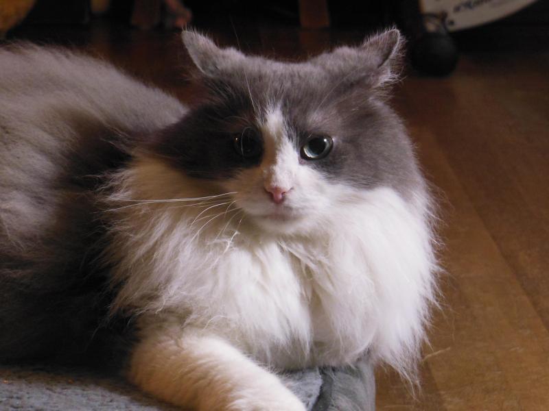 TuckersMom uploaded   1 year/s ago