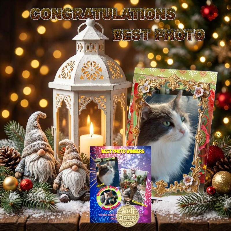 Mouse of the TuckersMom family