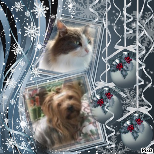 Mouse of the TuckersMom family