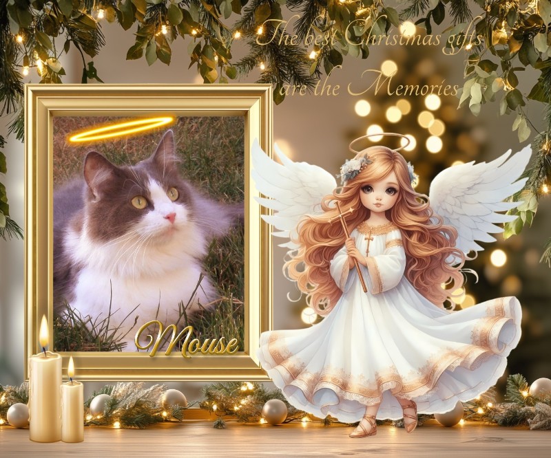 Mouse of the TuckersMom family