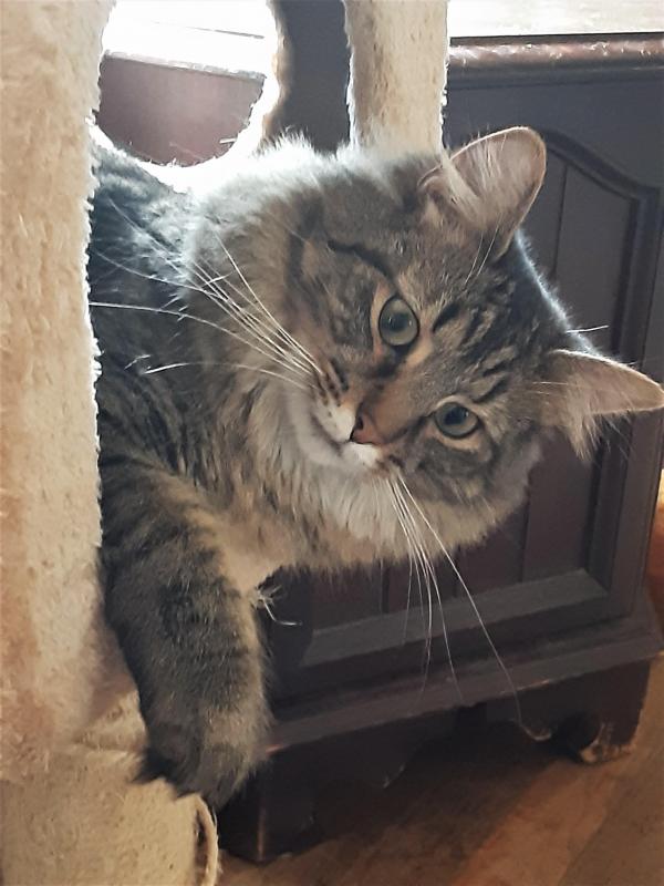 TuckersMom uploaded   3 year/s ago