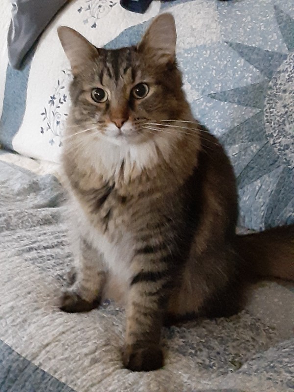 TuckersMom uploaded   3 year/s ago