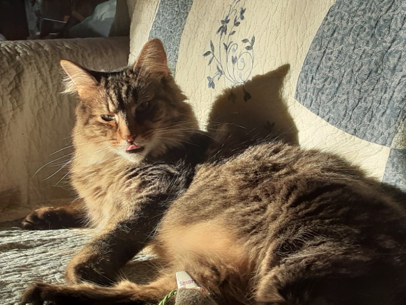 TuckersMom uploaded   3 year/s ago