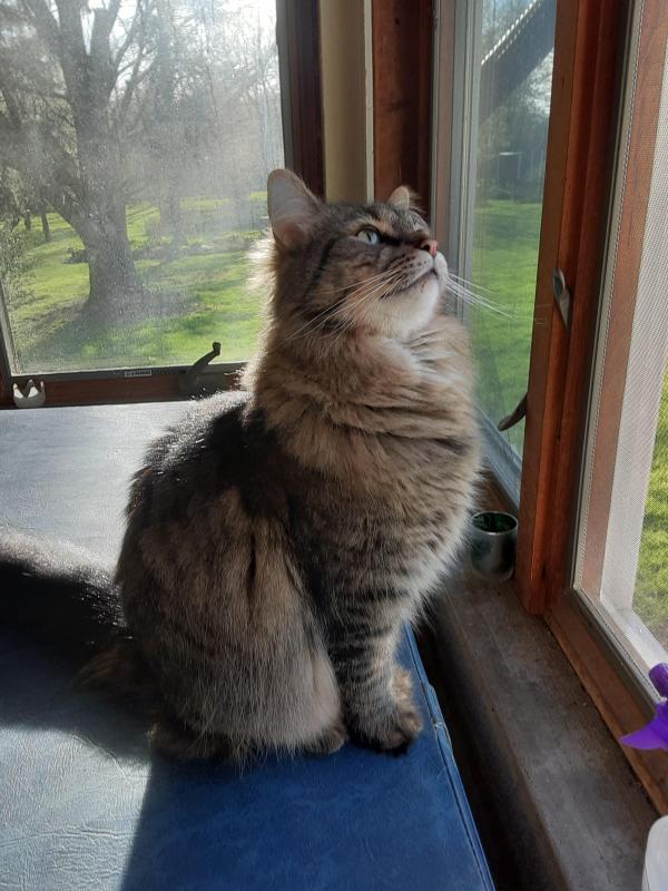 TuckersMom uploaded   1 year/s ago