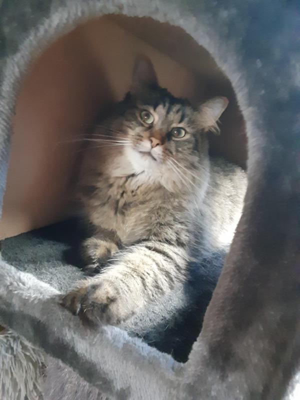 TuckersMom uploaded   2 year/s ago