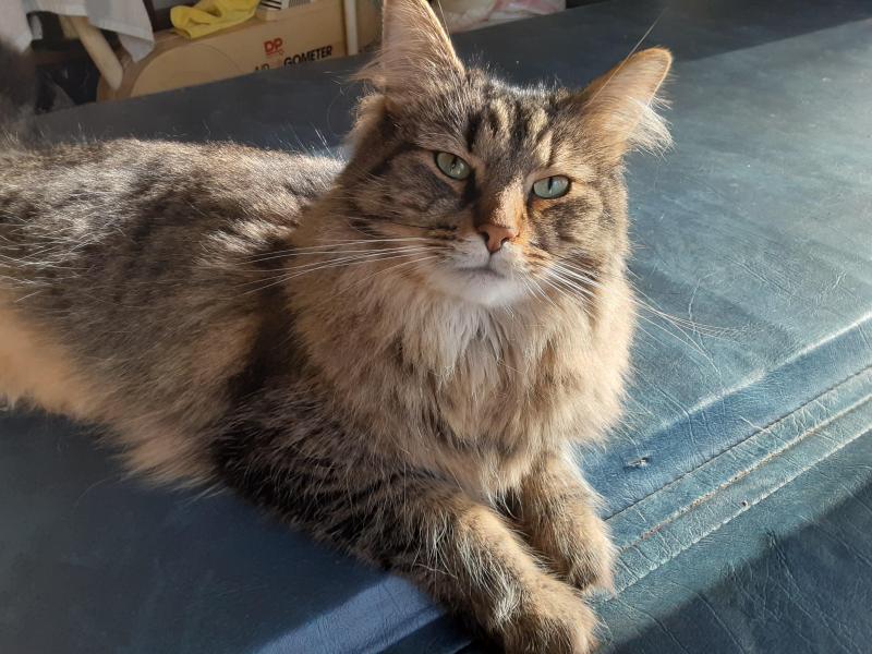 TuckersMom uploaded   1 year/s ago