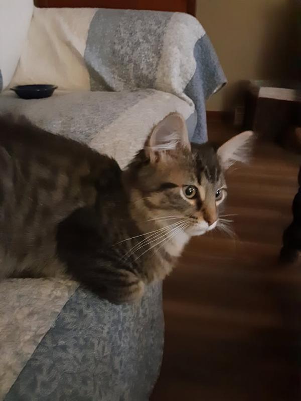 TuckersMom uploaded   190  day/s  ago