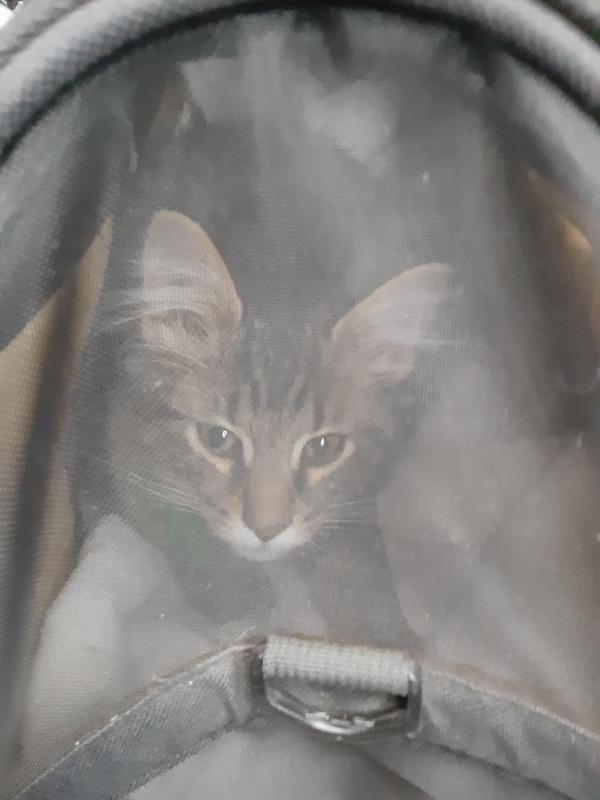 TuckersMom uploaded   190  day/s  ago