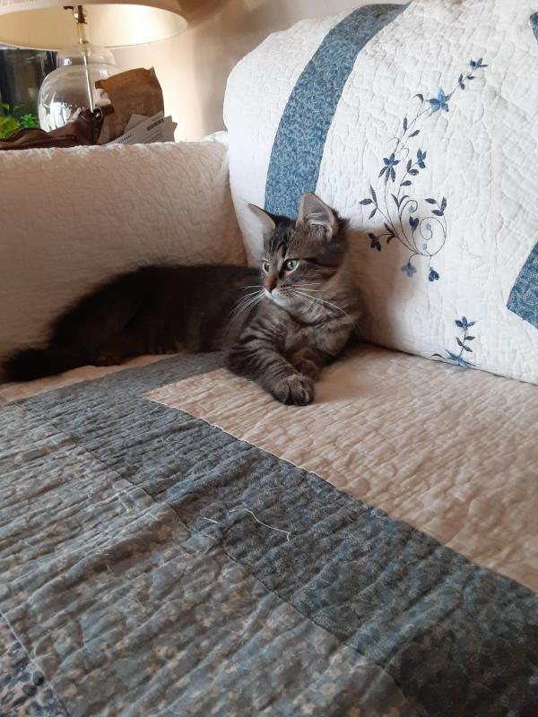 TuckersMom uploaded   190  day/s  ago