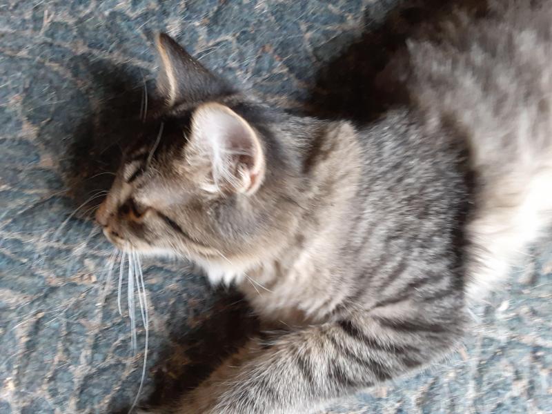 TuckersMom uploaded   190  day/s  ago