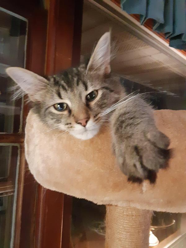 TuckersMom uploaded   190  day/s  ago