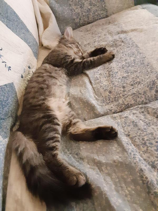 TuckersMom uploaded   190  day/s  ago