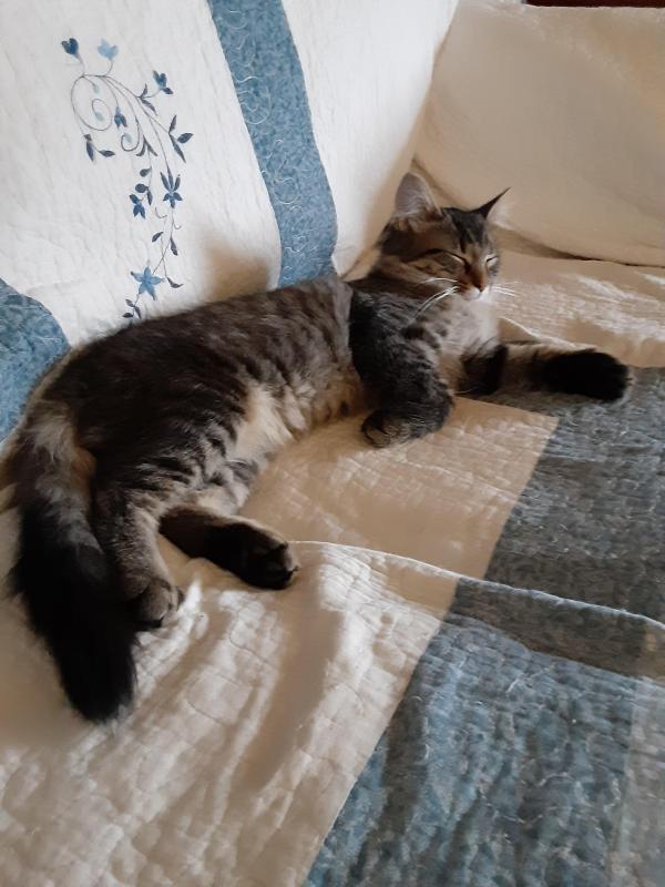 TuckersMom uploaded   190  day/s  ago