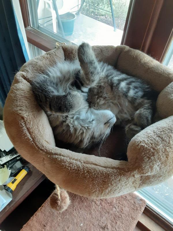 TuckersMom uploaded   190  day/s  ago