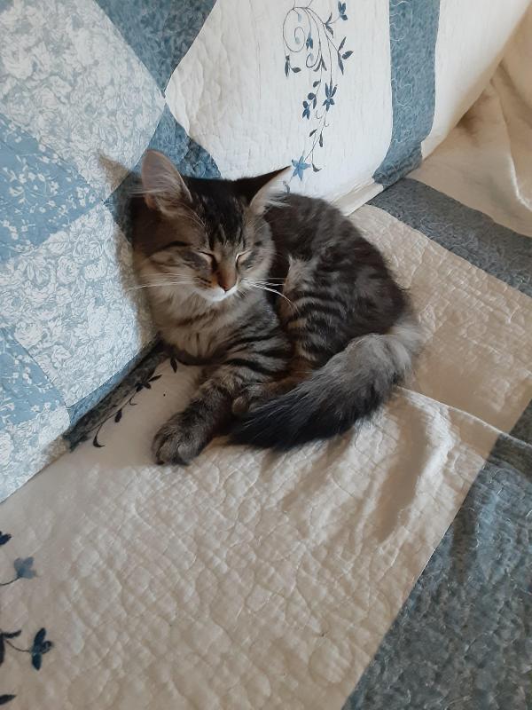 TuckersMom uploaded   190  day/s  ago