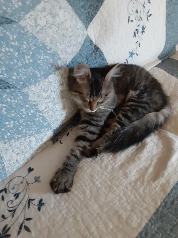 TuckersMom uploaded   190  day/s  ago